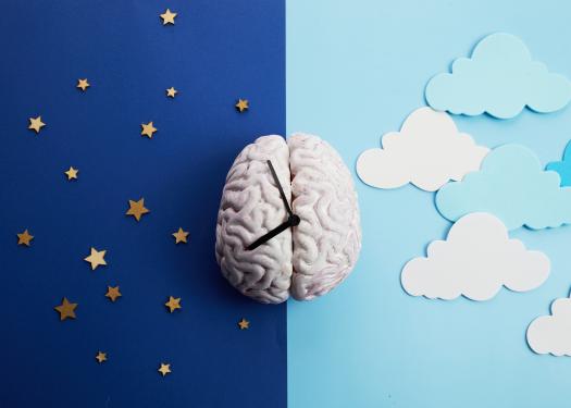 Illustration conceptuelle montrant un cerveau au centre, divisé en deux par une ligne verticale : à gauche, un fond bleu nuit parsemé d’étoiles évoquant la nuit ; à droite, un fond bleu clair avec des nuages blancs représentant le jour