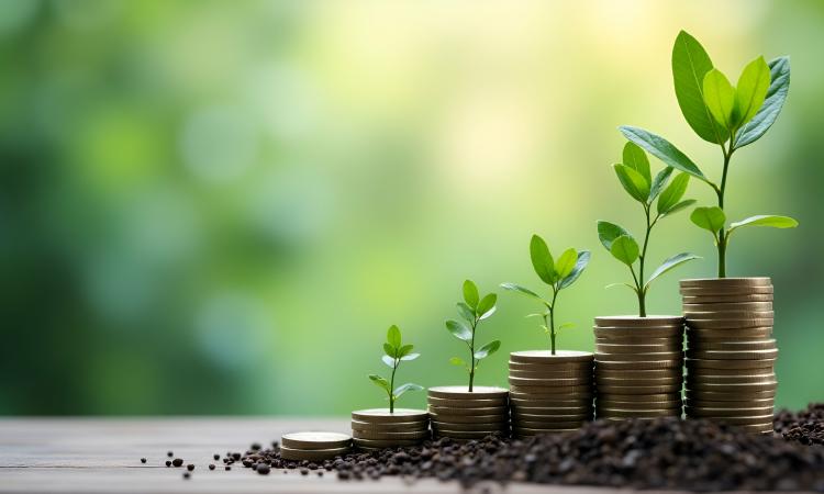 Politique d'investissement durable